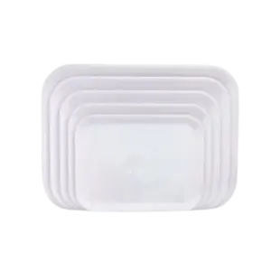bl039540 khay trang a022 kt425x31x25 vinh co