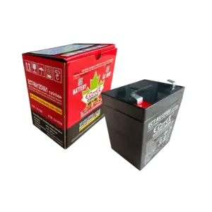 bl040972 ac quy ect ra125va1 12v 5ah ecotek