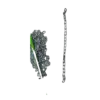 bl043383 day xich giu bung phi 6 l700