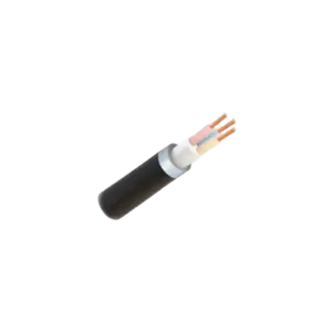 Dây cáp điện, Cu/XLPE/PVC CXV-3x6mm2 đen 0.6/1KV, Cadisun - Ảnh 1