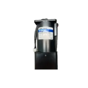 Động cơ điện xoay chiều, 9SDGE-180F2P 180W/ 220V/ 50Hz 1 pha, DKM - Ảnh 1