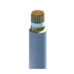 Cáp điều khiển chống nhiễu, Cu/PVC/PVC-S 24x2.5 DVV/SC (Điện áp 0.6/1kV), Cadivi - Ảnh 1