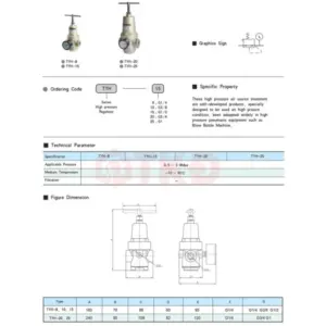 Van điều áp khí nén, TYH-15 (G1/2; ren 21; cao 160mm; ngang 70mm), STNC - Ảnh 1