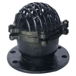 Rọ bơm gang đen,  DN80 JIS 10K, OEM - Ảnh 1