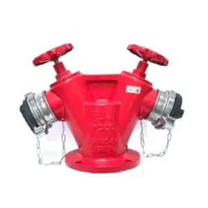 Đầu trụ chữa cháy 2 cửa, mặt bích DN80 FJVL DN65x2 (kèm trụ chữa cháy 2 họng DN65), FuJi Vietlink - Ảnh 1