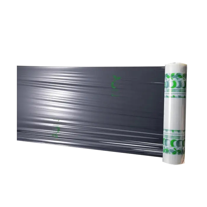 bl500950 mang quan co gian phan huy sinh hoc chukoh photo bl500950 mang quan co gian phan huy sinh hoc chukoh